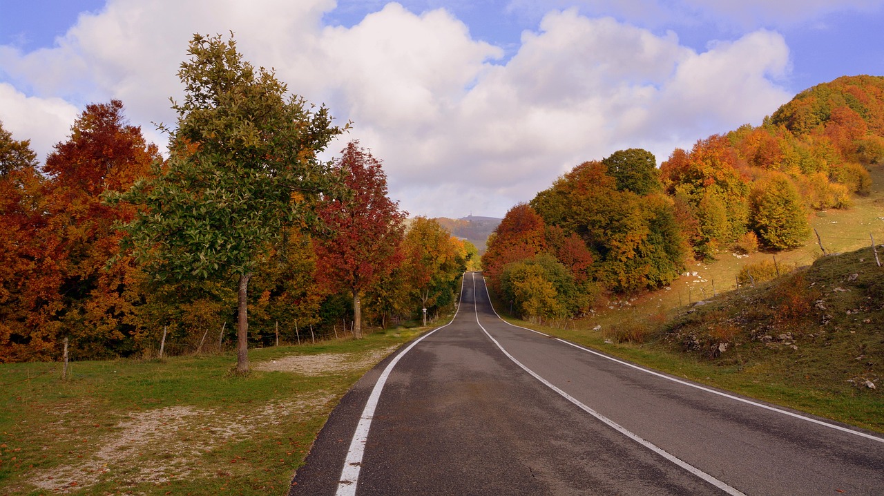 street, trees, autumn, mountain, the european path, e5, nature, lessinia, italy